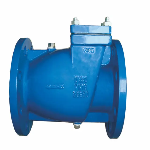 iron check valves