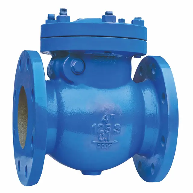  Iron Check Valve