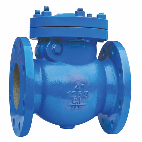 Swing Check Valve