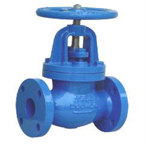 ANSI Globe Valve