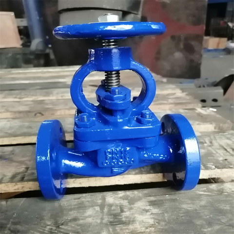 DIN Globe Valve